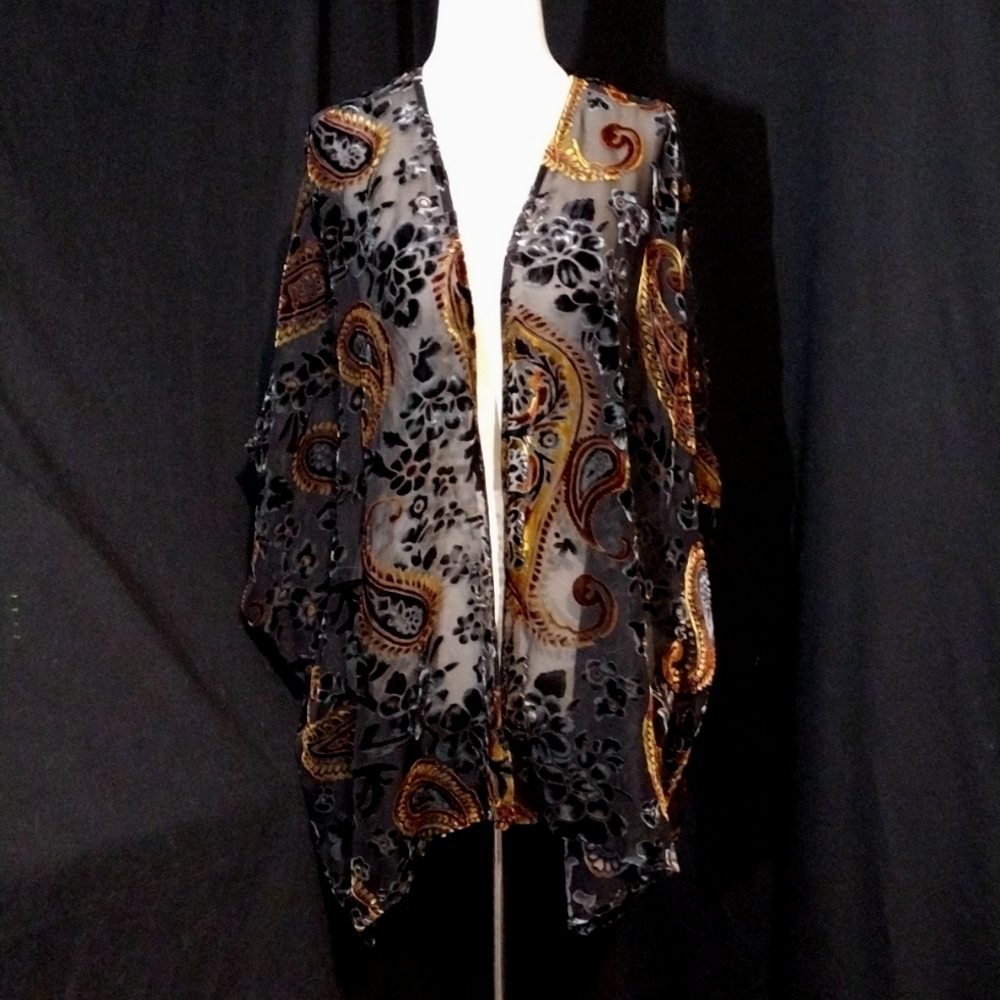 Artistic Works by Lu Sheer Black S. Sleeve Cardigan Velvet Paisley Print Sz M/L